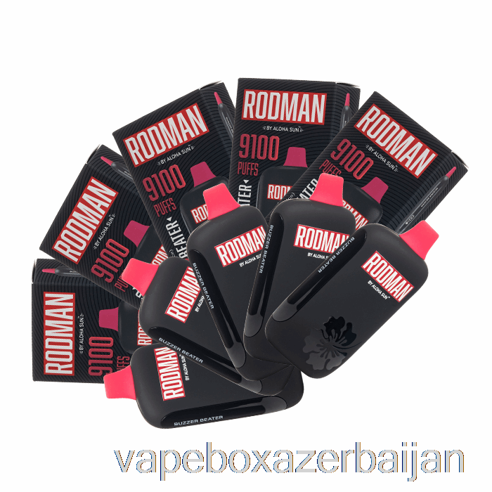 Vape Box Azerbaijan [10-Pack] RODMAN 9100 Disposable